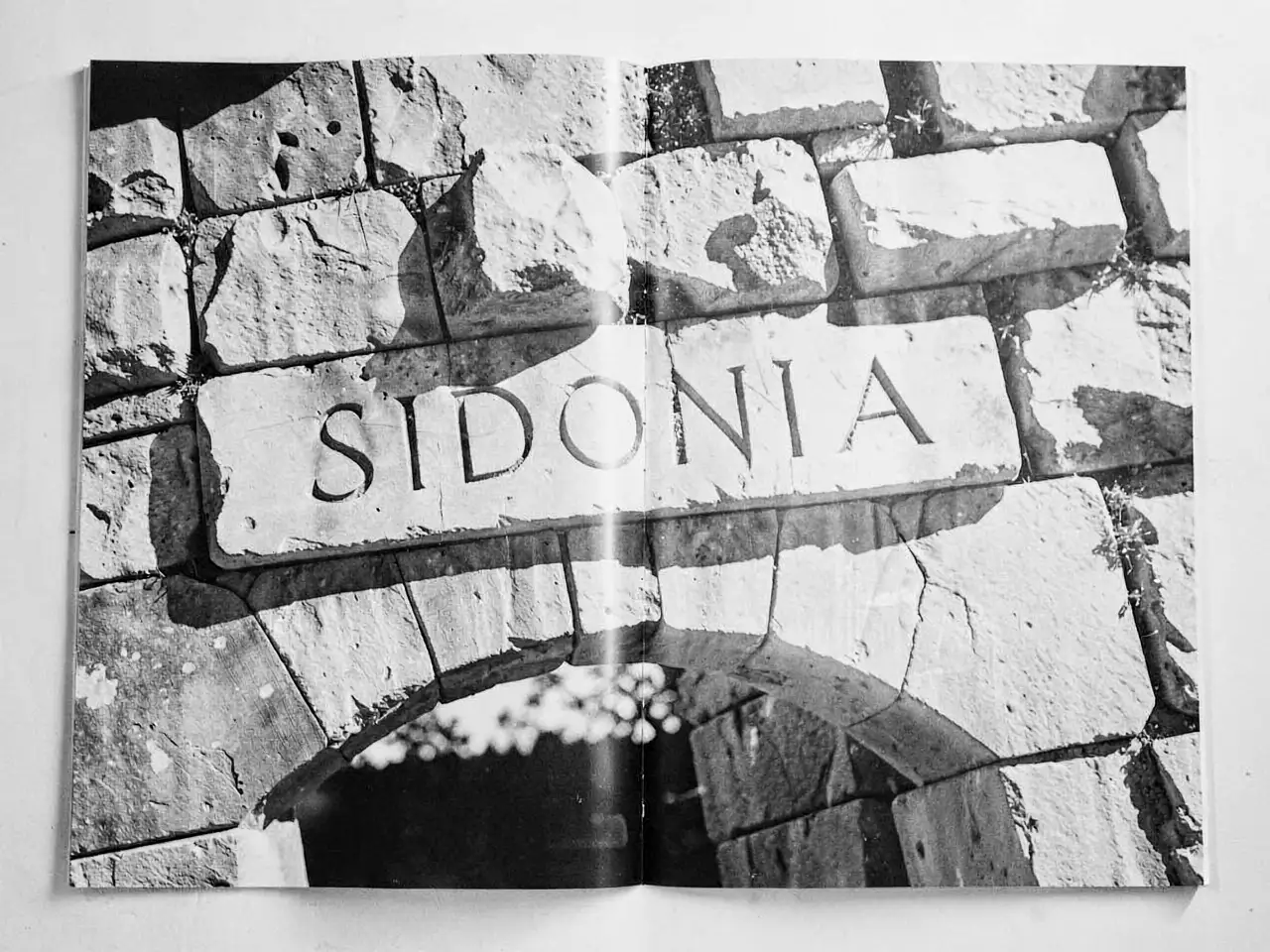 Trust and long-term value